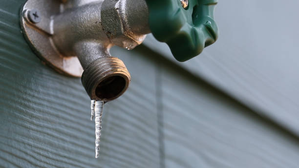 Best Plumbing Inspection Services  in Decatur, IL
